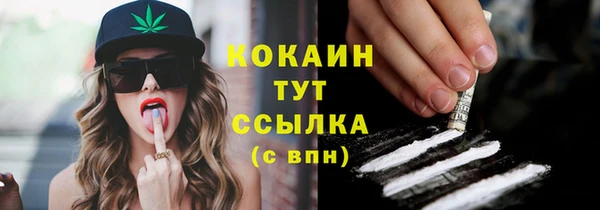 тгк Алексин