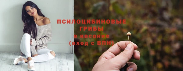 тгк Алексин