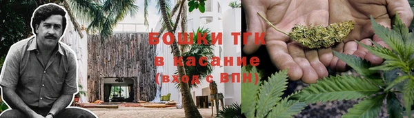 тгк Алексин