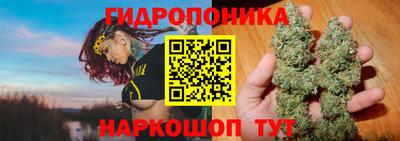 мяу мяу кристалл Гусь-Хрустальный
