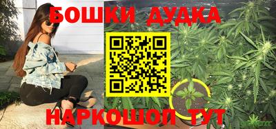 МДПВ Будённовск