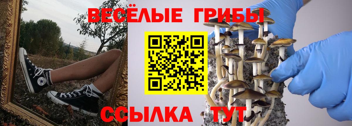 Галлюциногенные грибы GOLDEN TEACHER  Вход с VPN  Жуковский  Галлюциногенные грибы ЛСД 