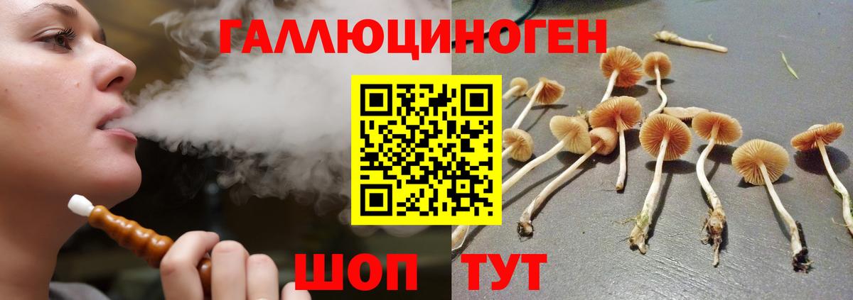 Галлюциногенные грибы Magic Shrooms Жуковский