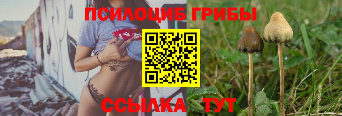 дарнет шоп  Жуковский  Галлюциногенные грибы прущие грибы  Псилоцибиновые грибы Magic Shrooms 