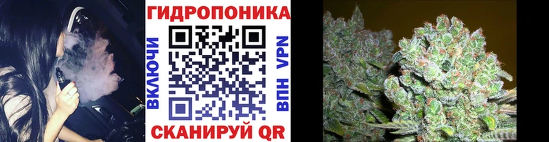 МАРИХУАНА планчик  наркотики  mega ССЫЛКА  Жуковский 