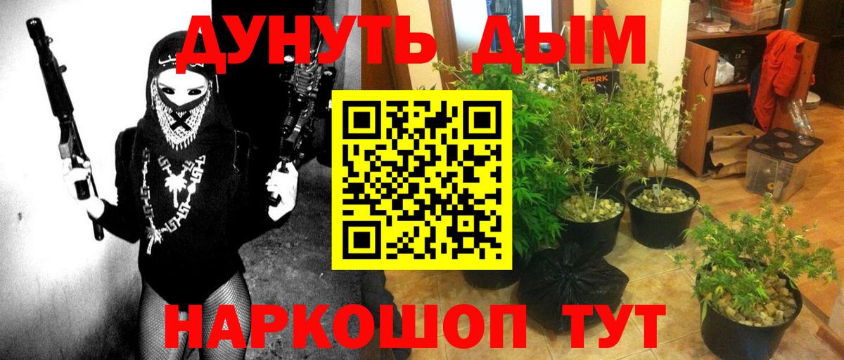 Бошки марихуана планчик  МАРИХУАНА планчик  Жуковский  Бошки марихуана ГИДРОПОН  МАРИХУАНА OG Kush 